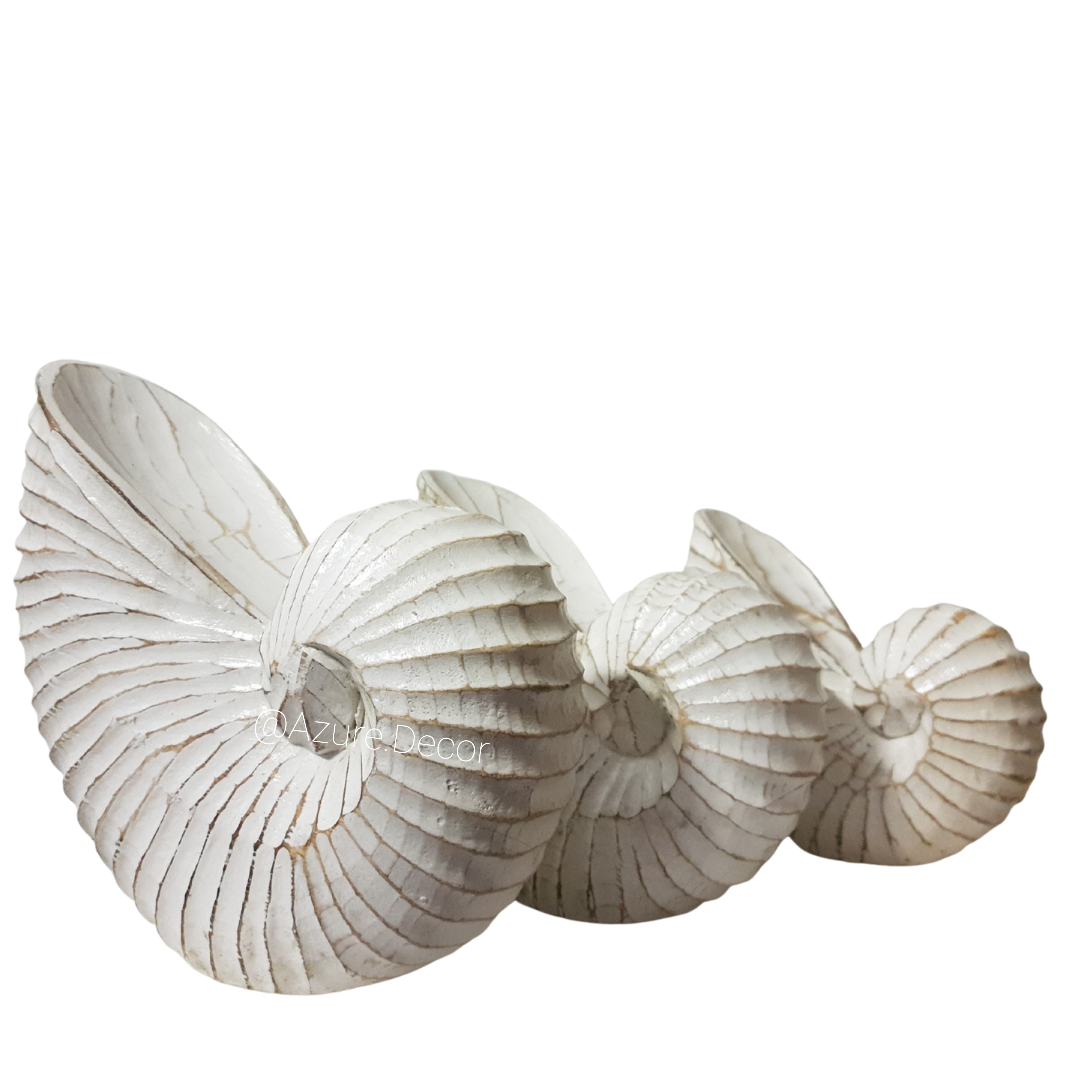 Nautilus Shell Wooden Decor – White Wash Set of 3 coastal display