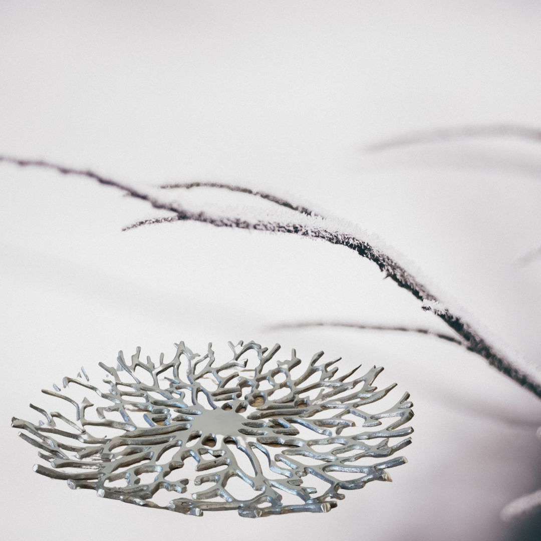 Coral steel bowl 