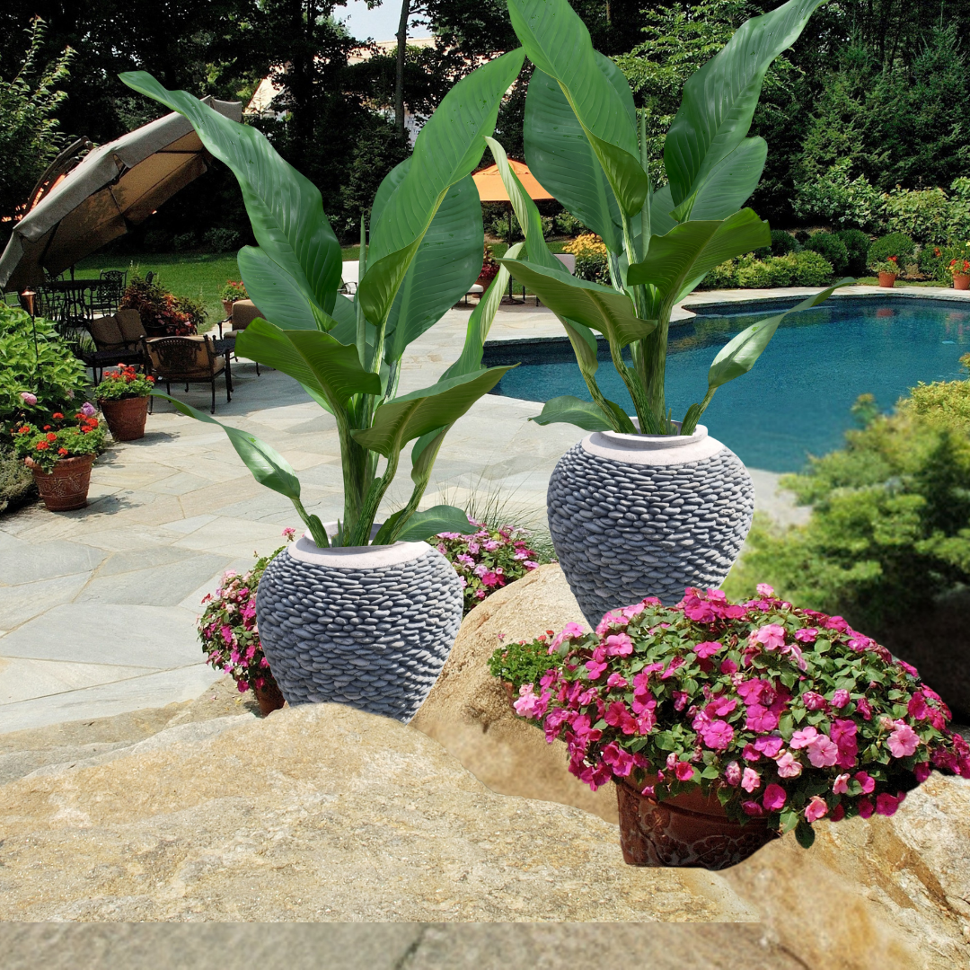 Decorative planters with green plants and pink flowers by a poolside.