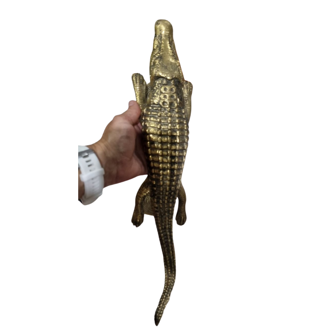 Hand holding a solid brass crocodile door handle – polished gold finish – handcrafted brass hardware detail on white background