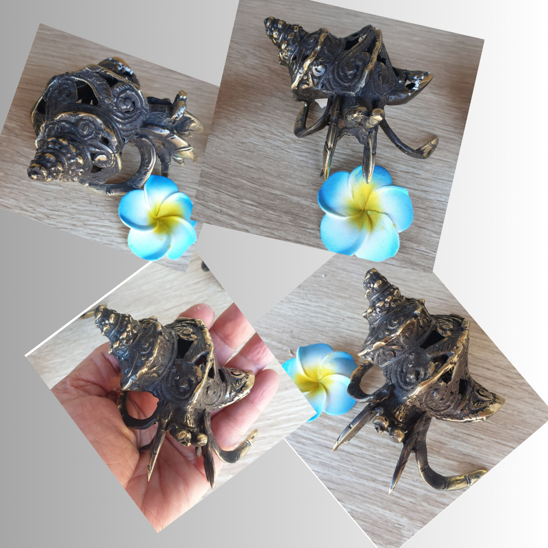 Brass Hermit Crab Vintage Style