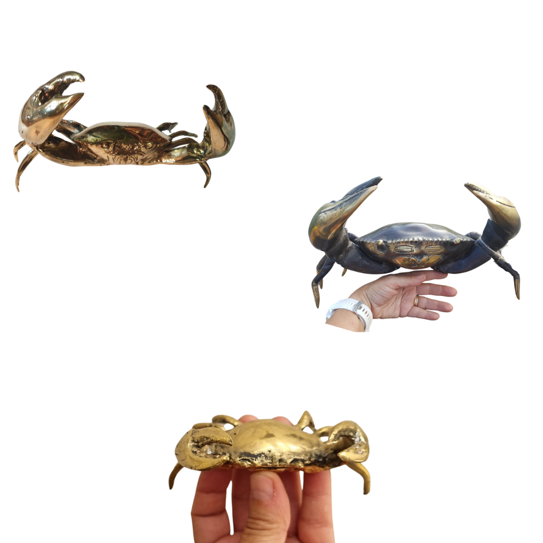 Mud Crab colour selection Three crab-shaped objects in different colors held by a hand on a white background