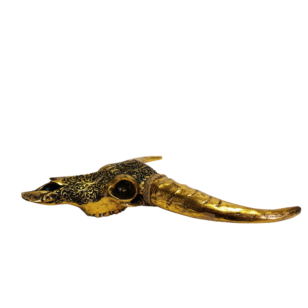 1. Boho Cow Bull skull side view 