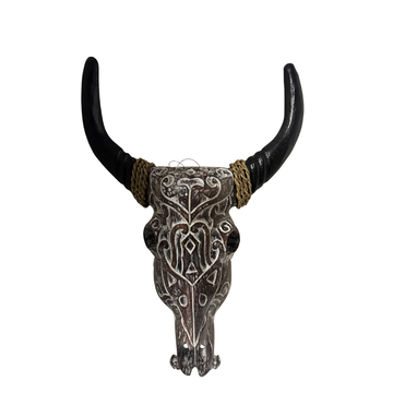 Long-horned decorative piece on a white background