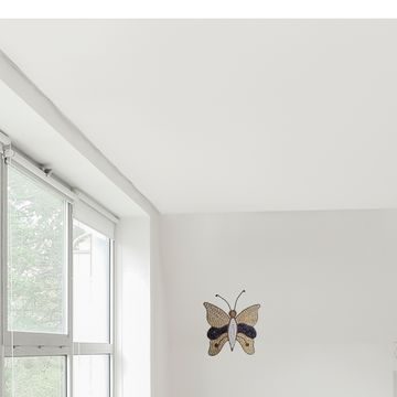 A wall-mounted Butterfly Shell Artwork made from assorted shells, predominantly in shades of brown and white, with a butterfly silhouette in the center.