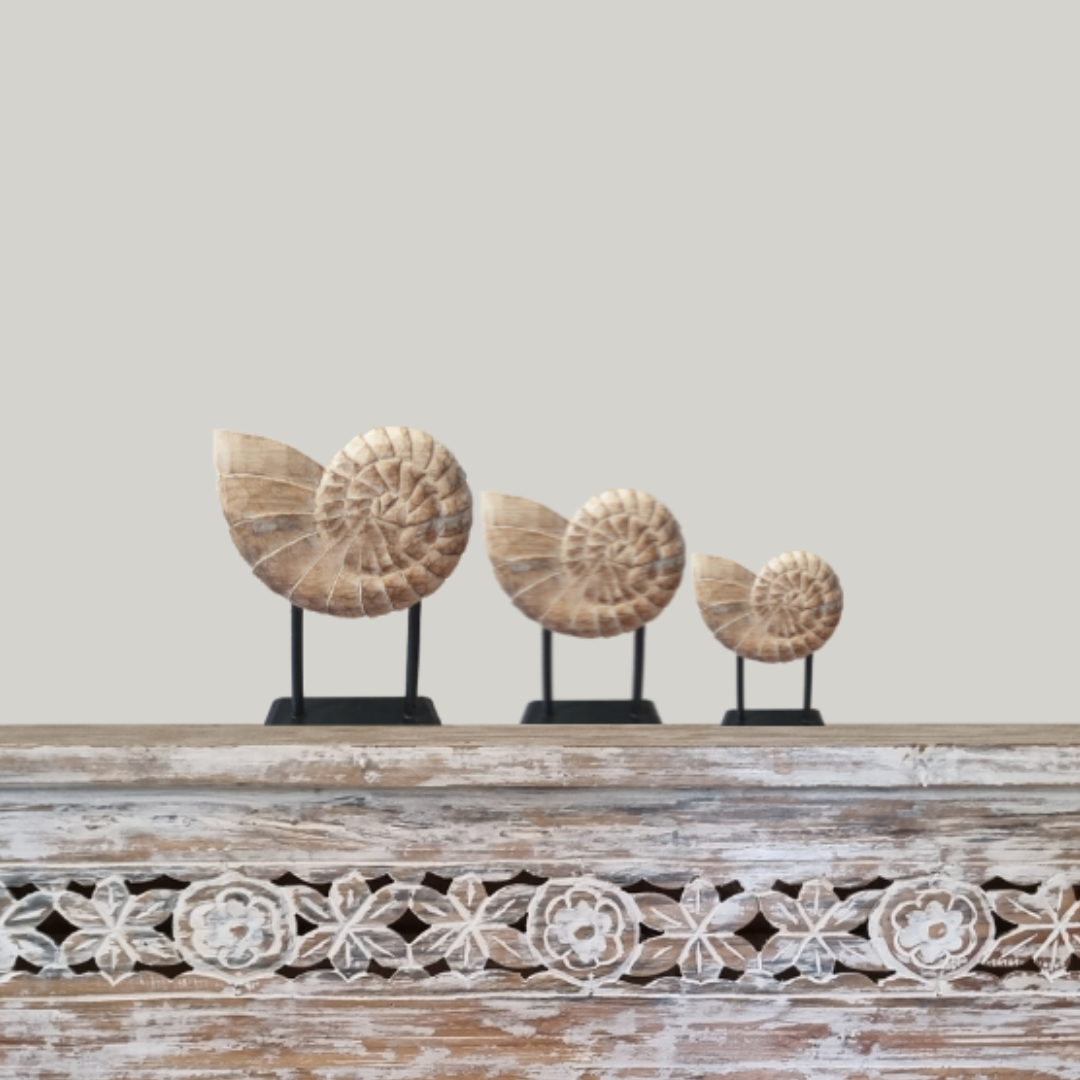 Set of three hand-carved wooden nautilus shell sculptures on black stands displayed on a whitewashed Balinese carved console table – coastal home decor styled by Azure Decor