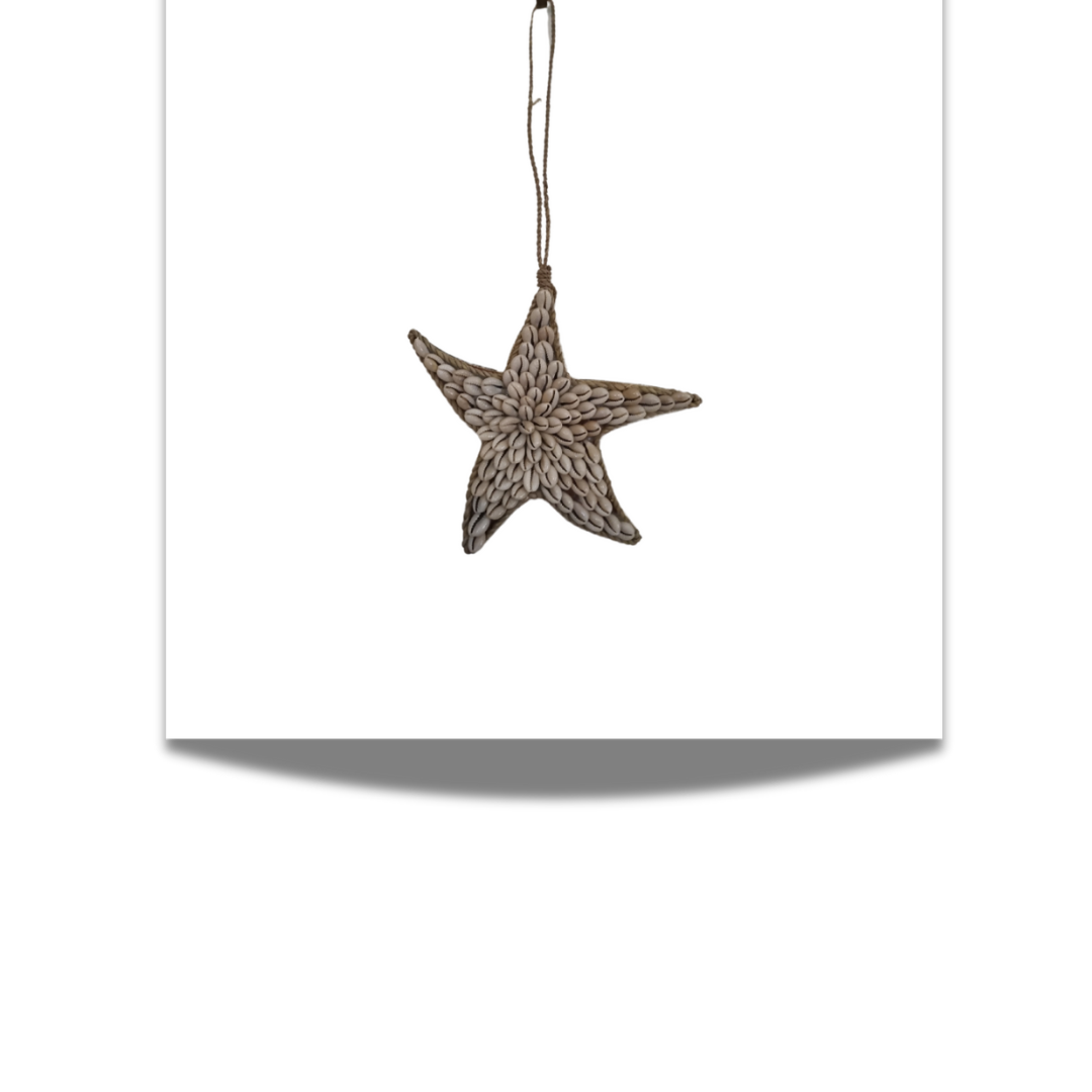 starfish shell decor hanging on white wall 