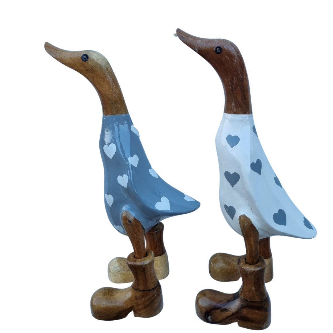 both ducks side view 
