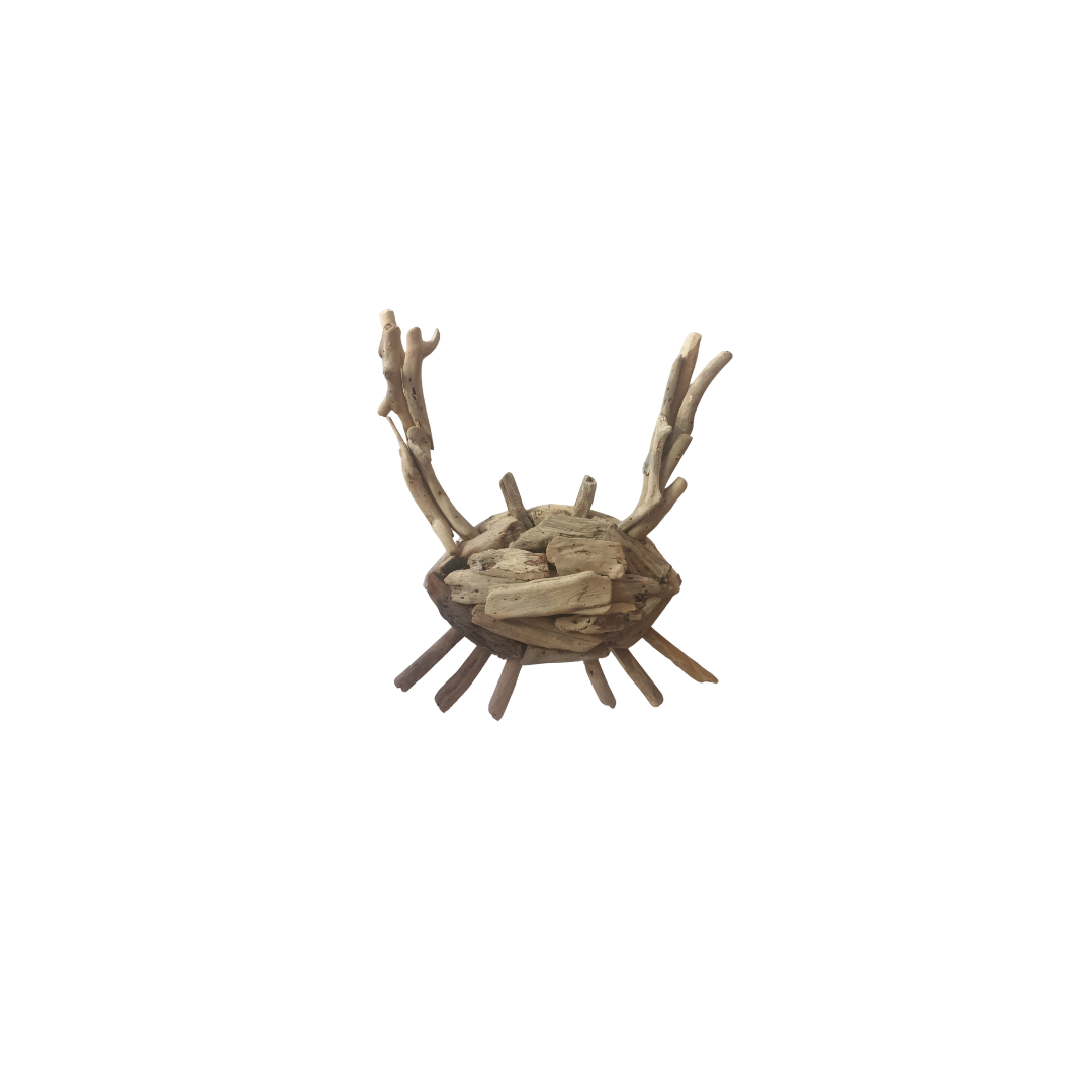 Driftwood Crab Wall Art Unique Coastal Decor