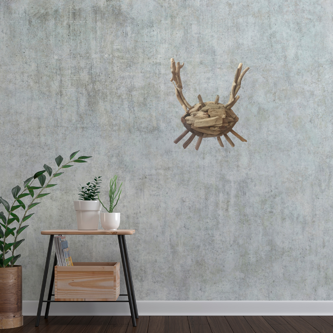 Driftwood Crab Wall Art Unique Coastal Decor