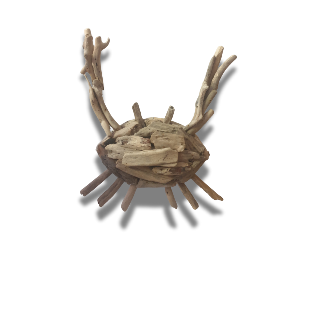 Driftwood Crab Wall Art Unique Coastal Decor
