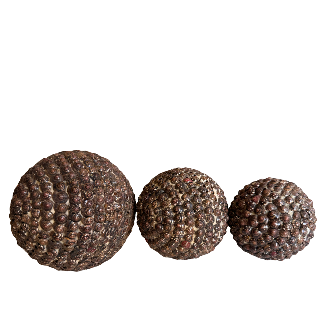 Three dark brown spherical shell balls on a white background