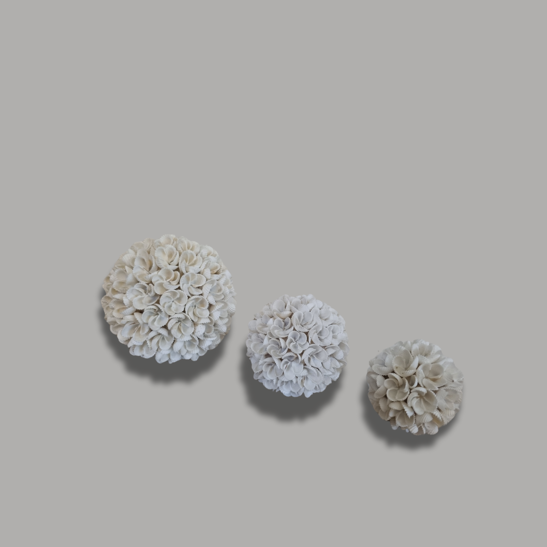 white colour shell balls set in a beige back ground