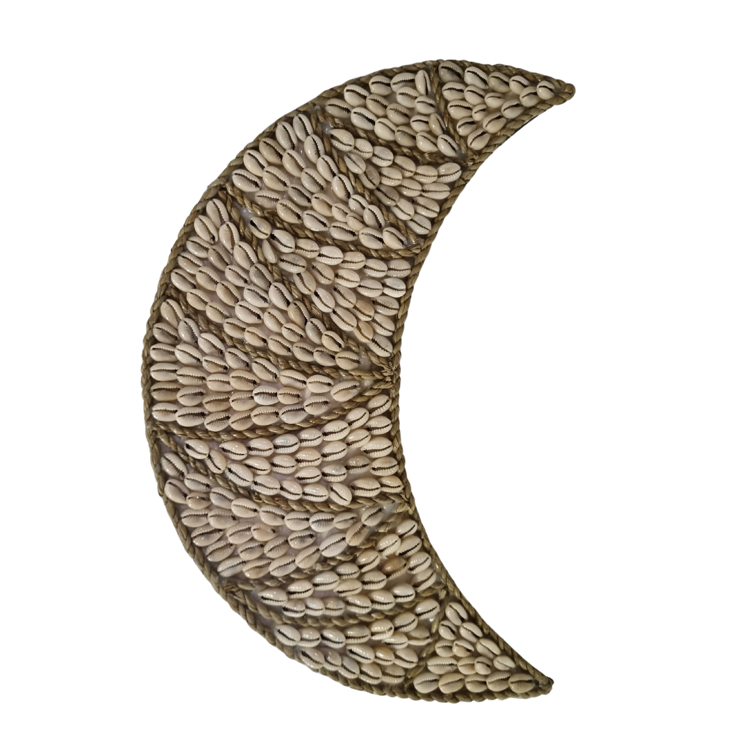 Cresent Shell Wall Art 