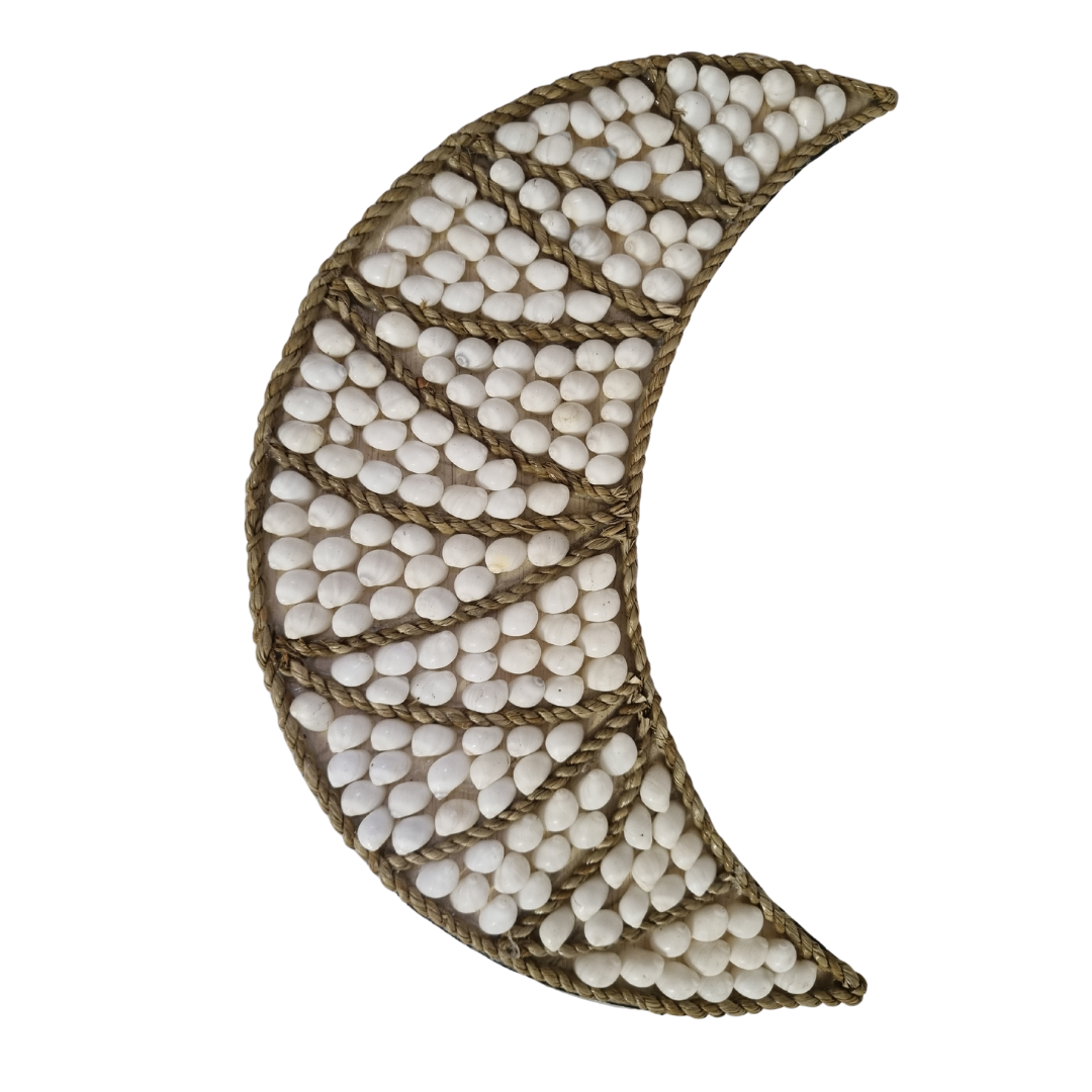 Shell Wall Art 