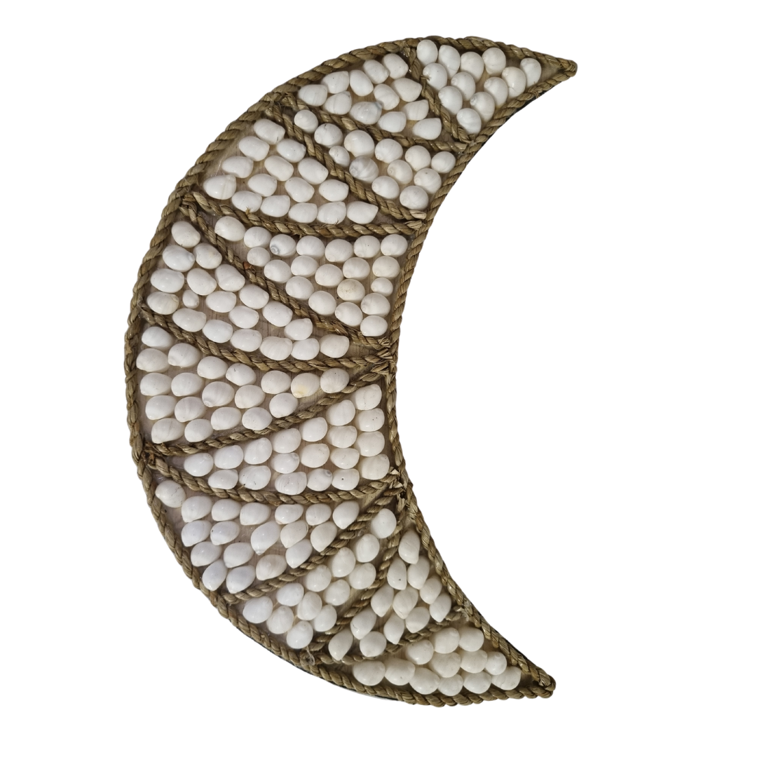 Shell Wall Art White