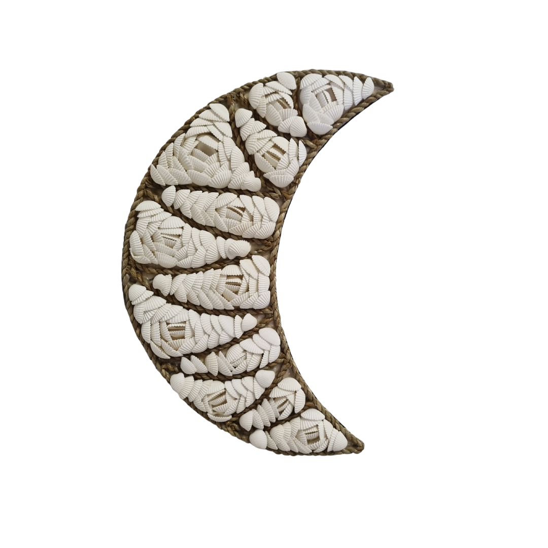 Cresent  Shell Wall Art white