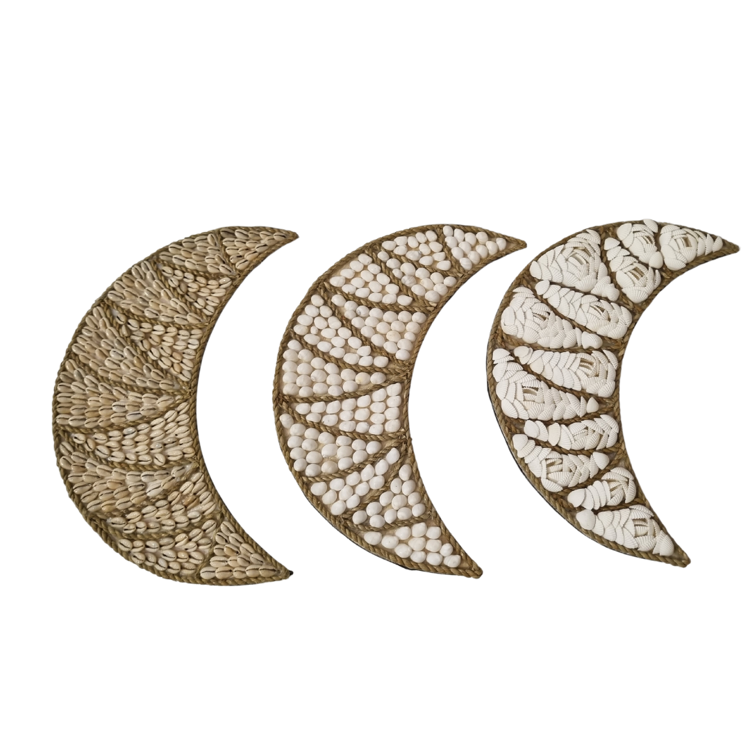  Coastal Crescent Shell Three Designs Neutral tones shell, 2. white shell on beige background, 3. white half shell on beige background.