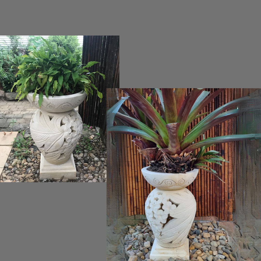 Decorative  planters with plants on a garden setting