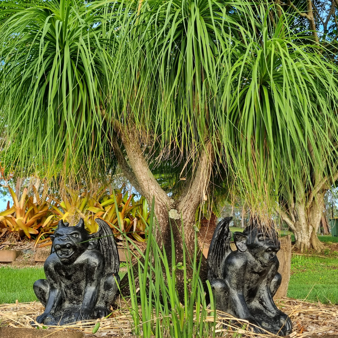 A rustic style gargoyle garden statue made from reinforced concrete and glass fiber, displayed in a natural outdoor setting.