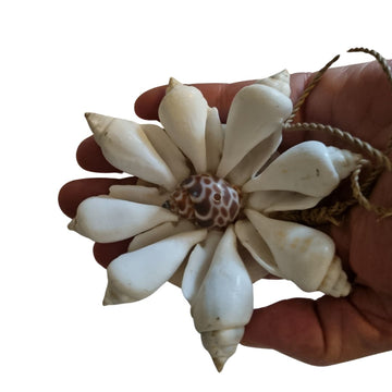 Hand holding a decorative shell flower on a white background