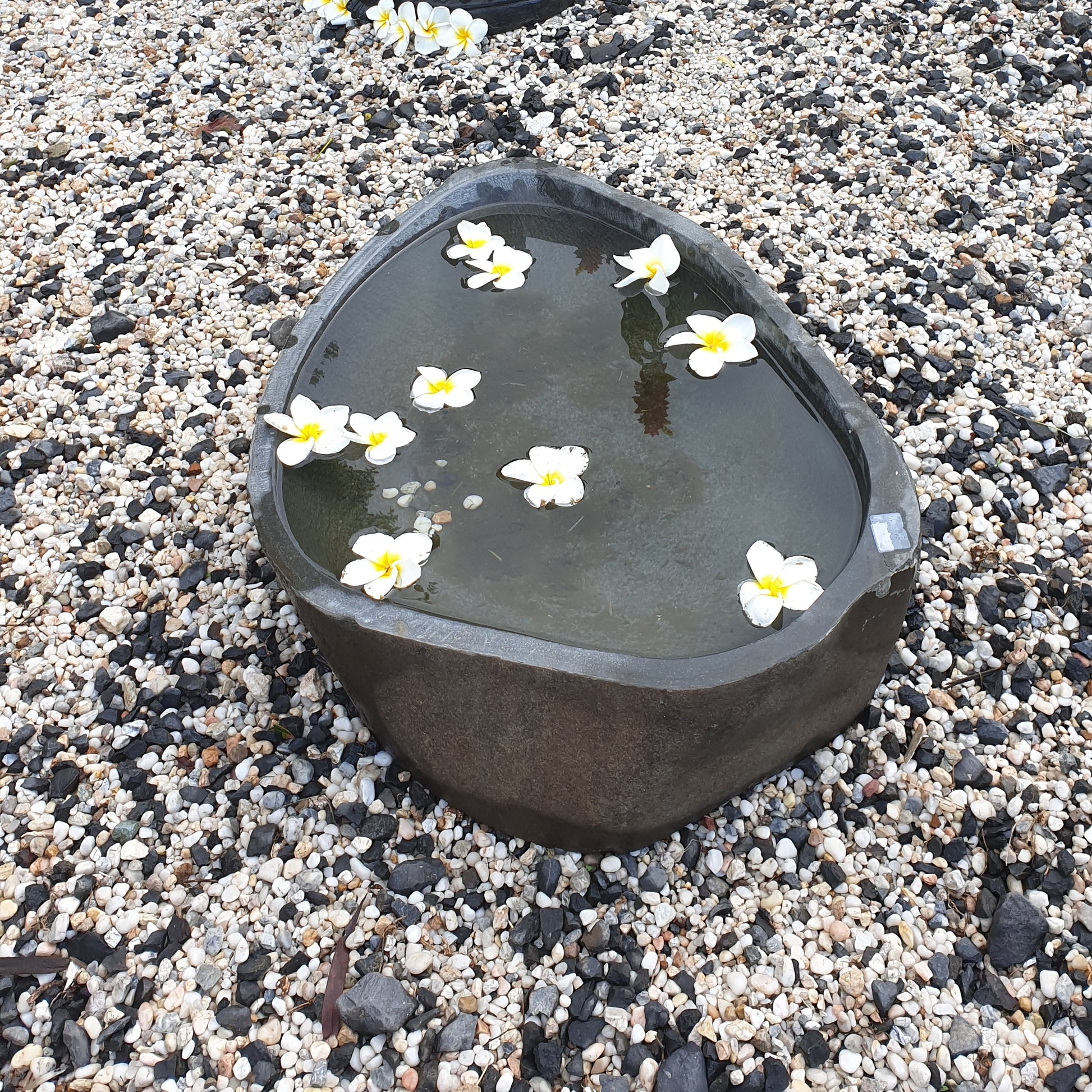 Dark natural stone garden basin filled with water and floating white frangipani flowers, set on white and black gravel
