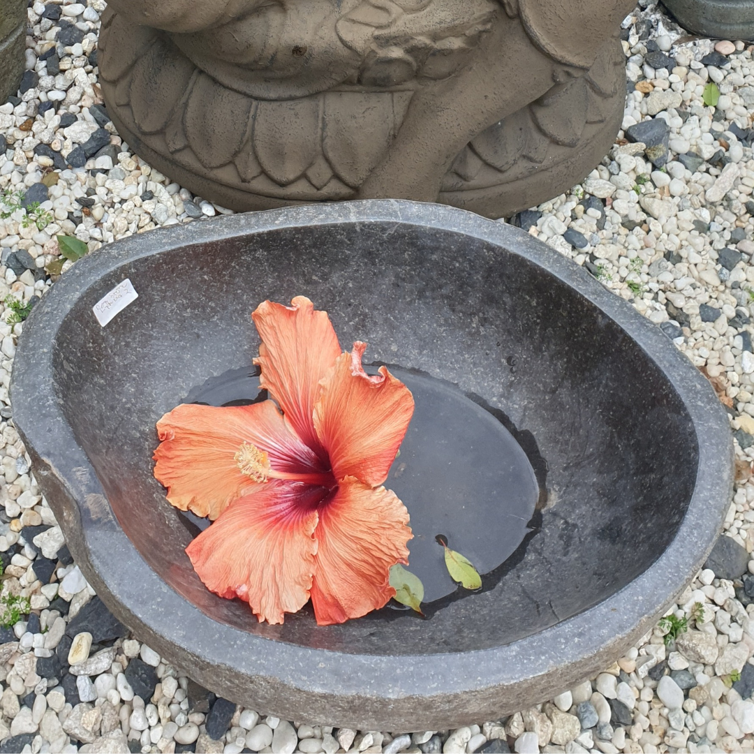 Japanese Stone Garden Basin styled in a lush Zen garden 