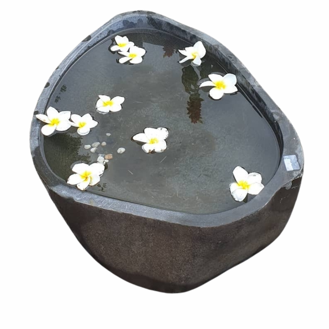 Japanese Stone Garden Basin – top view showing natural stone texture and floating white frangipani flowers on white background