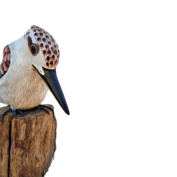 Hand-carved wooden Kookaburra bird perched on a solid natural wood base. The bird is detailed and lifelike, with carved feathers and a realistic shape. The backdrop is plain white, highlighting the sculpture’s texture and natural wood tones
