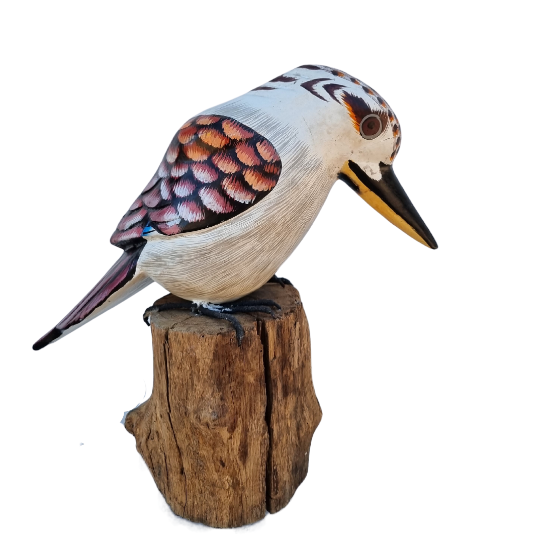 Hand-carved wooden Kookaburra bird perched on a solid natural wood base. The bird is detailed and lifelike, with carved feathers and a realistic shape. The backdrop is plain white, highlighting the sculpture’s texture and natural wood tones