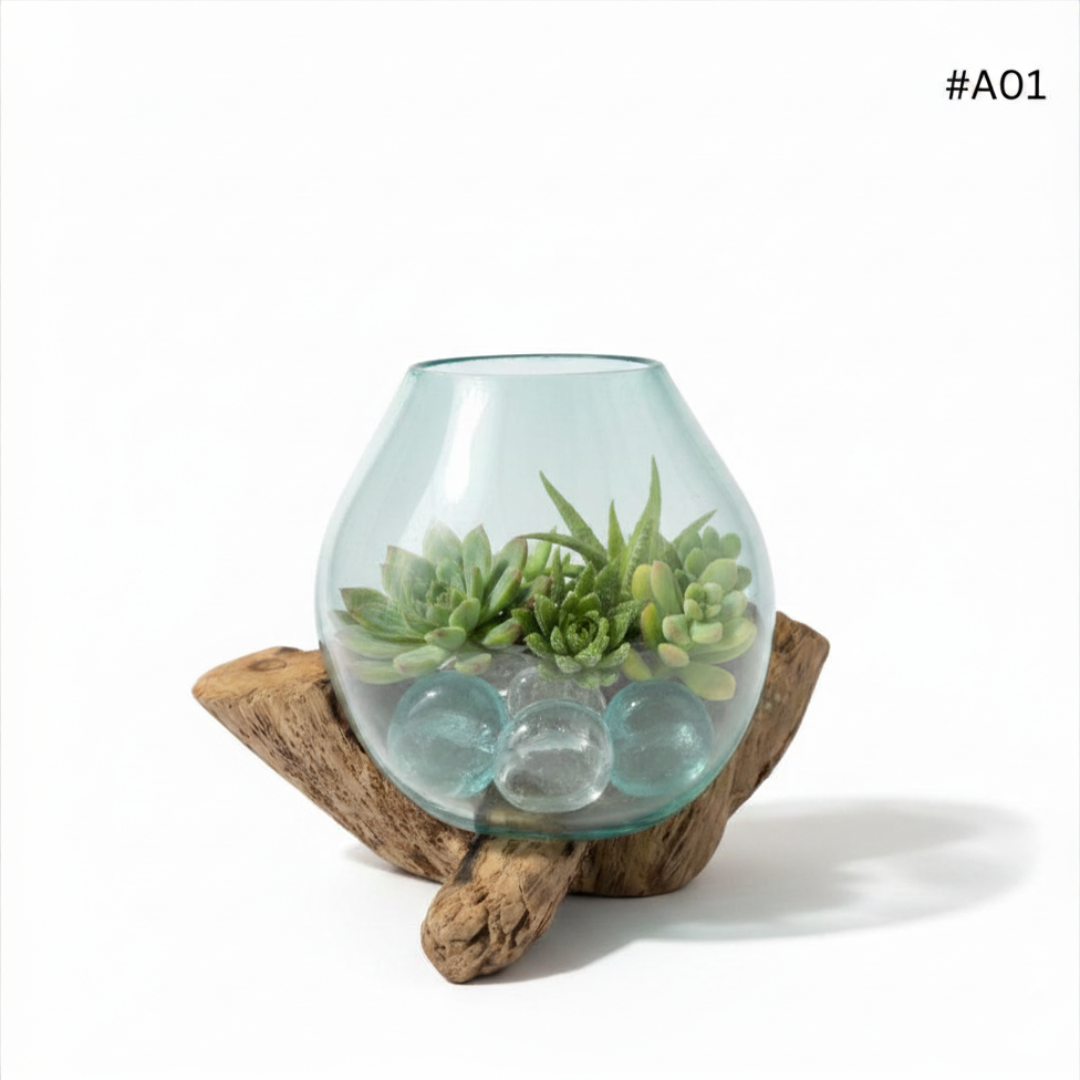 Glass terrarium with succulents on a wooden base against a white background