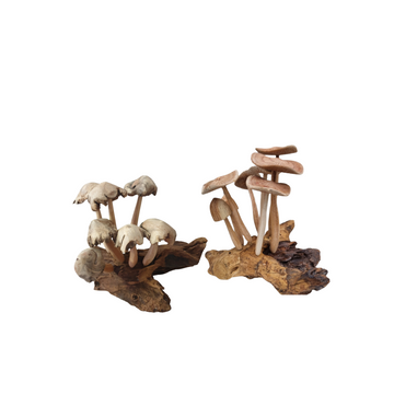 Two hand-crafted wooden mushroom art pieces on natural driftwood bases.