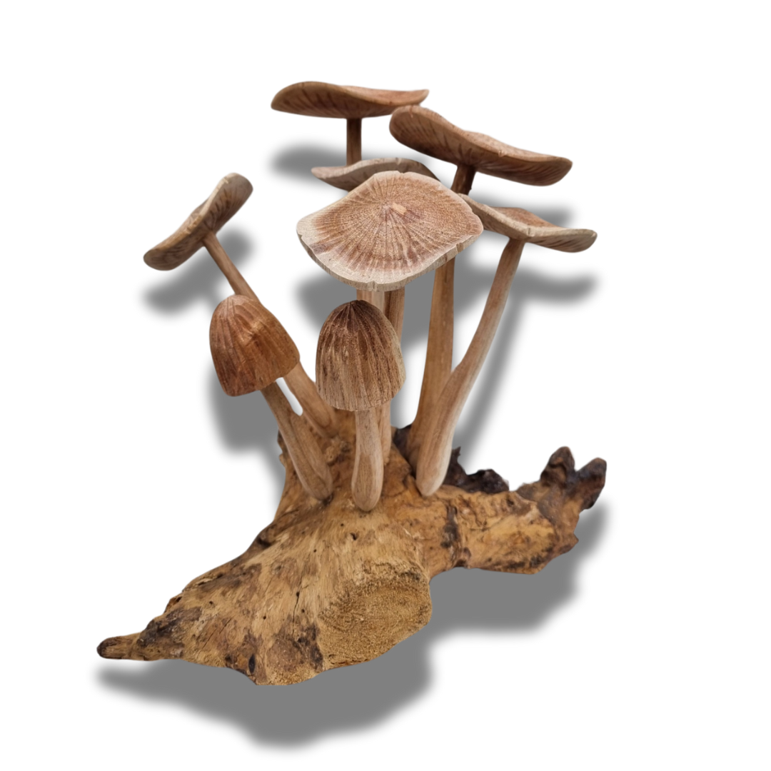 A  hand-crafted wooden mushroom art pieces on natural driftwood bases.