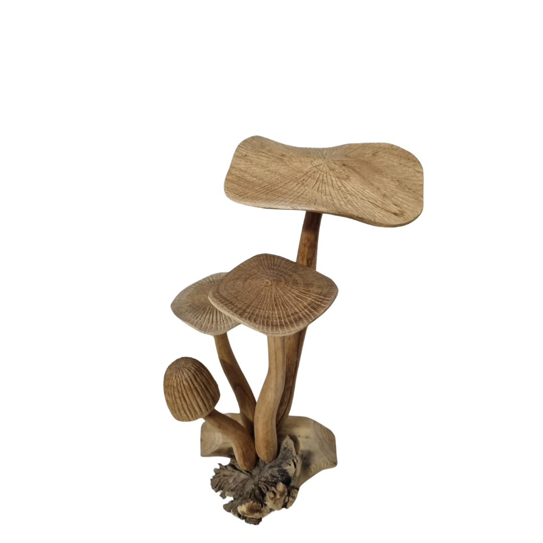 angle shot of a wooden mushroom carving with 4 stools 
