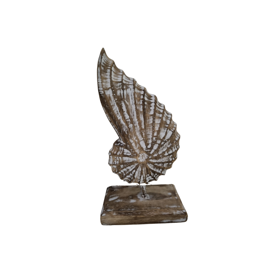 Wooden Conch Shell On Stand Brown Wash on white wall background