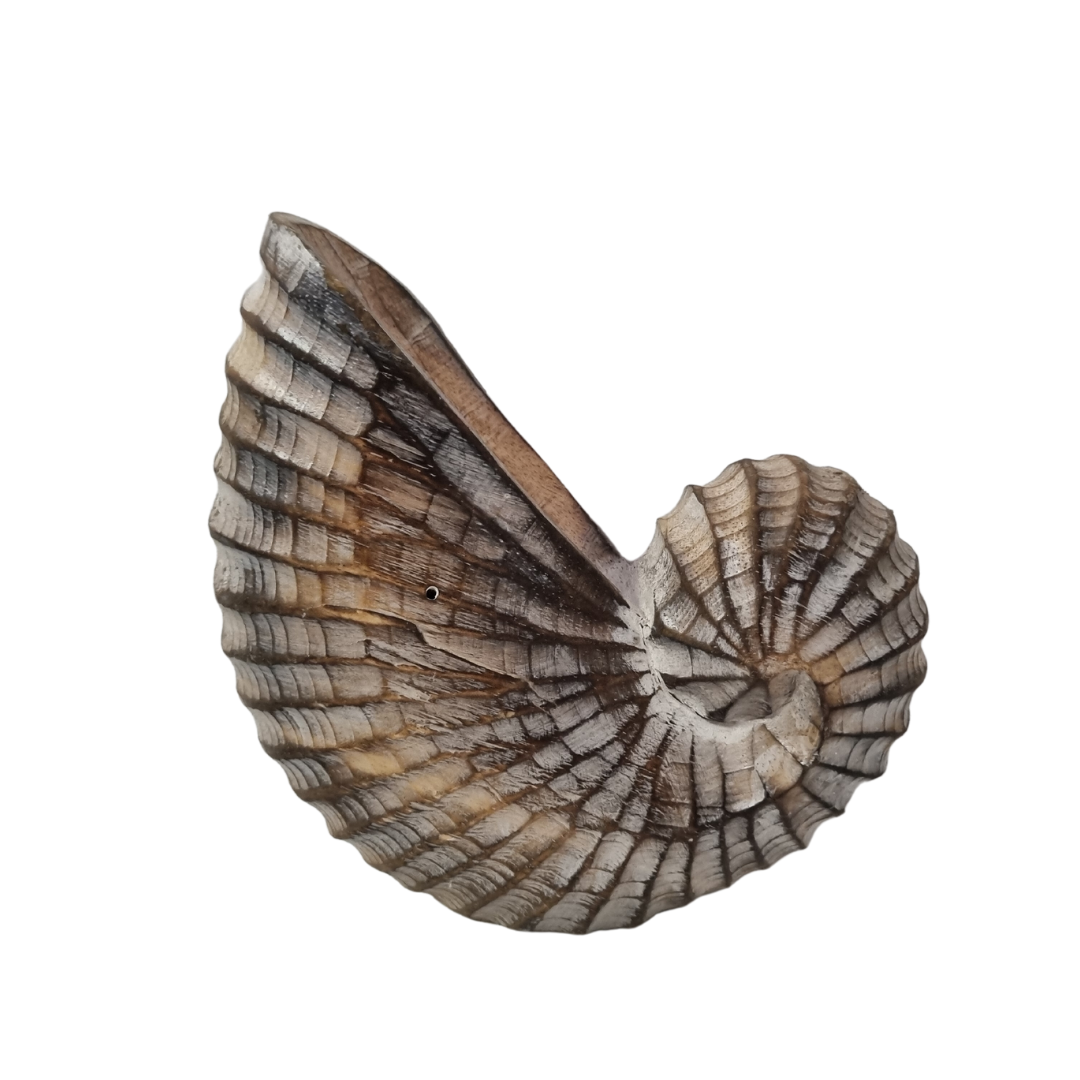 Nautilus Shell Wooden Decor – Brown Wash natural wood texture detail