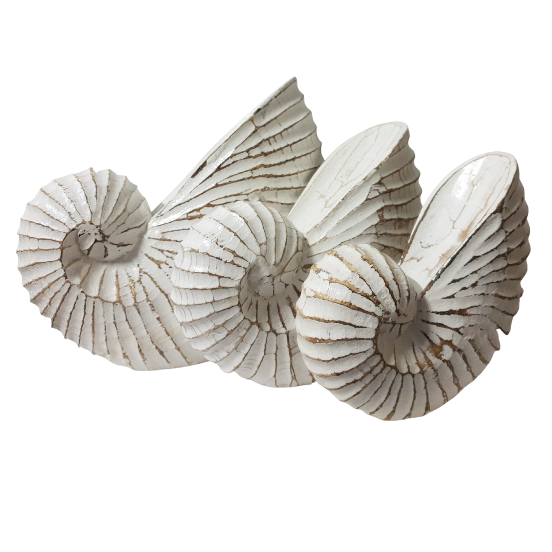 A set of three carved wooden nautilus shells in varying sizes, with a beige and white color wash, designed as coastal-themed home decor.