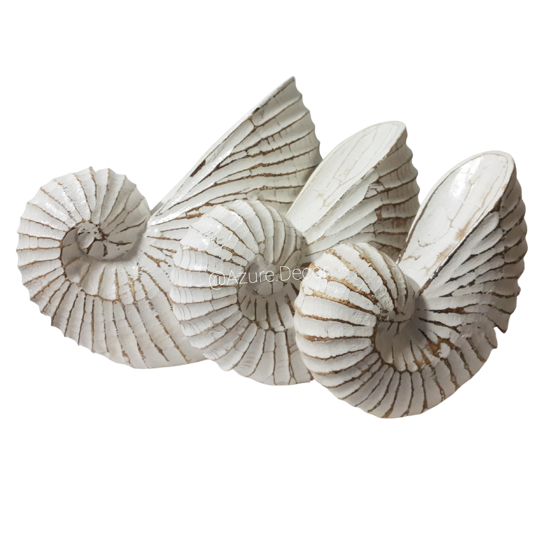 Nautilus Wooden Shell Carving white wash finish set of 3 designs small medium and large 