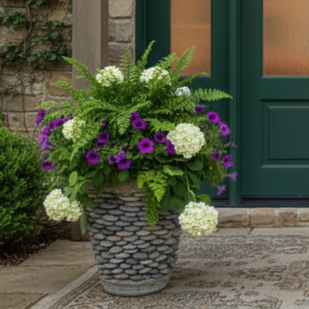 Close-up of a round stone-finish garden planter overflowing with purple petunias, white hydrangeas, and Boston ferns on a paved porch