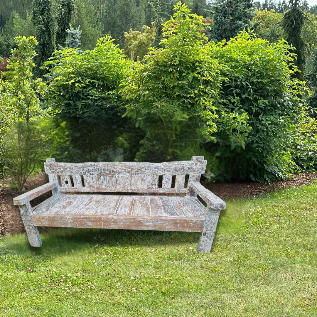 Wooden bench in a garden setting with greenery
