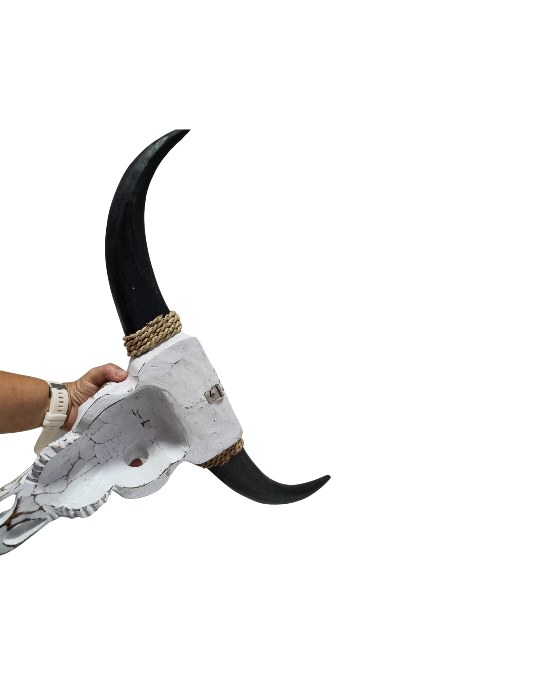 Side view showing horn size, rope wrapping and hanging hook detail
