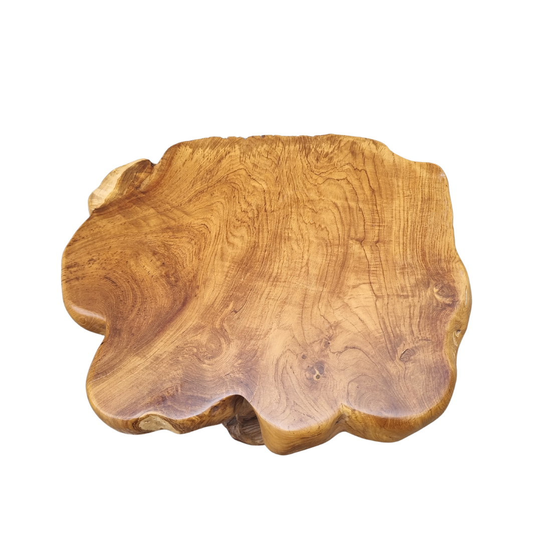 Root Wood Coffee Table