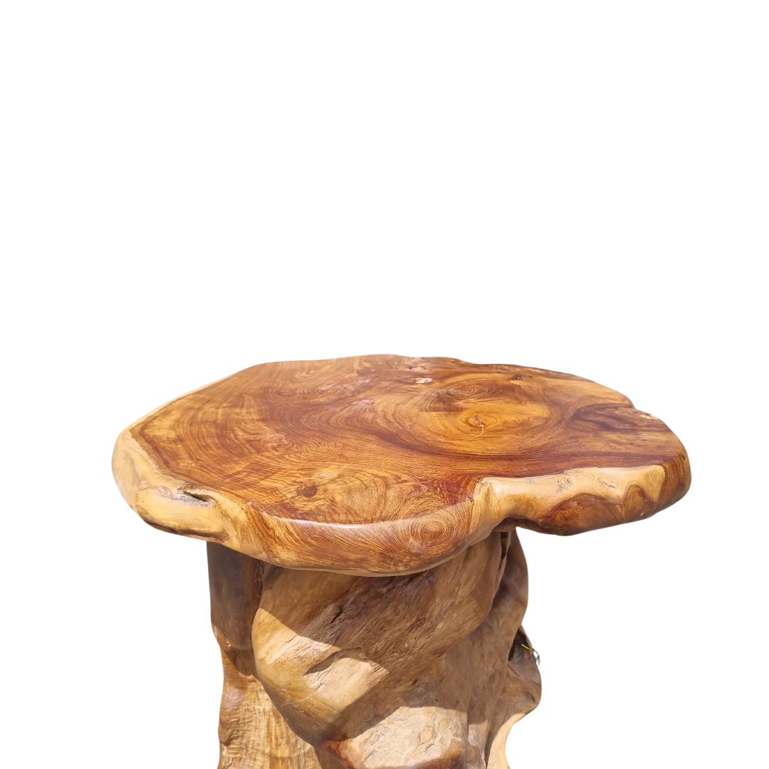 Root Wood Coffee Table