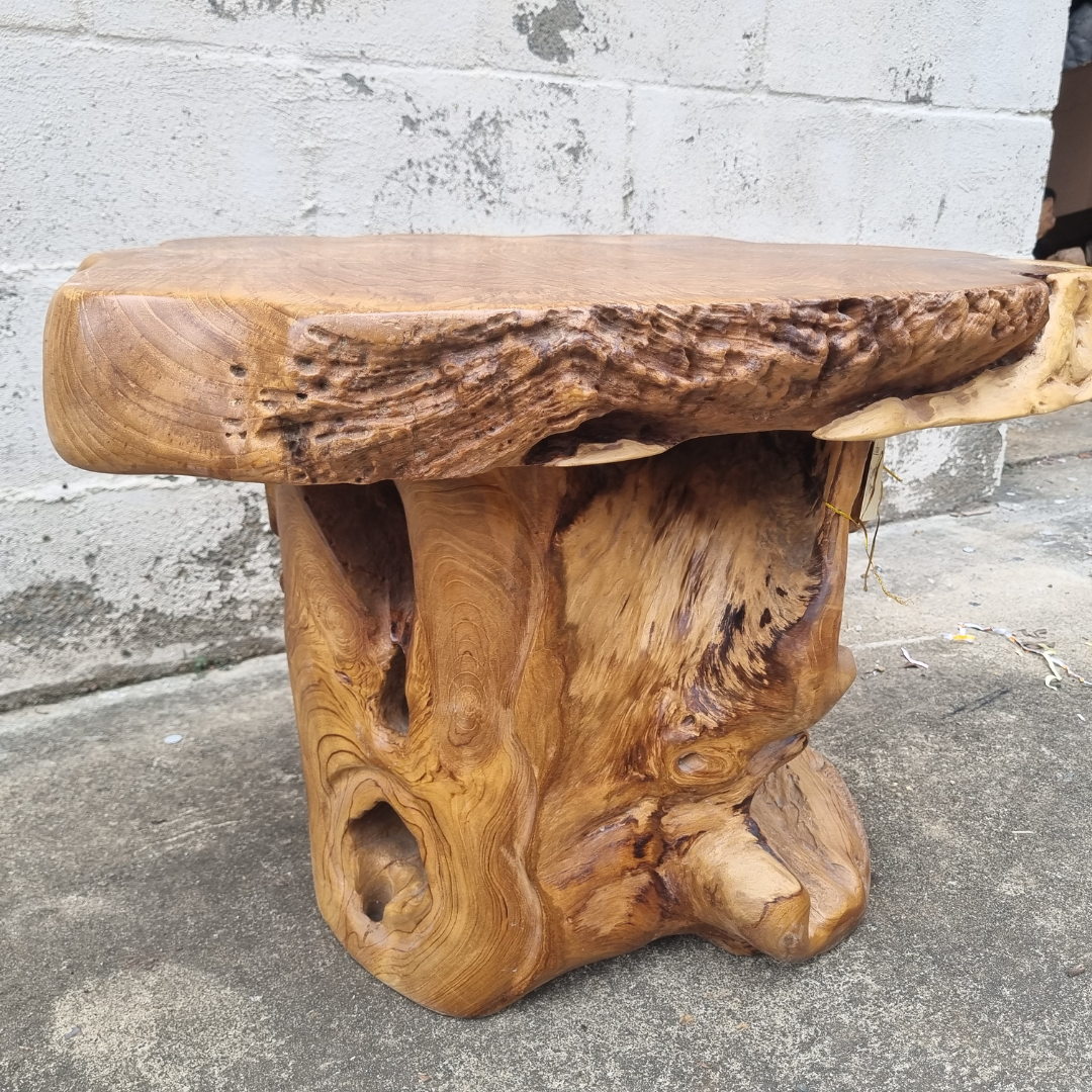 Root Wood Coffee Table