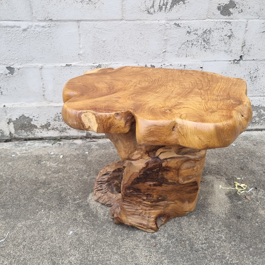 Root Wood Coffee Table