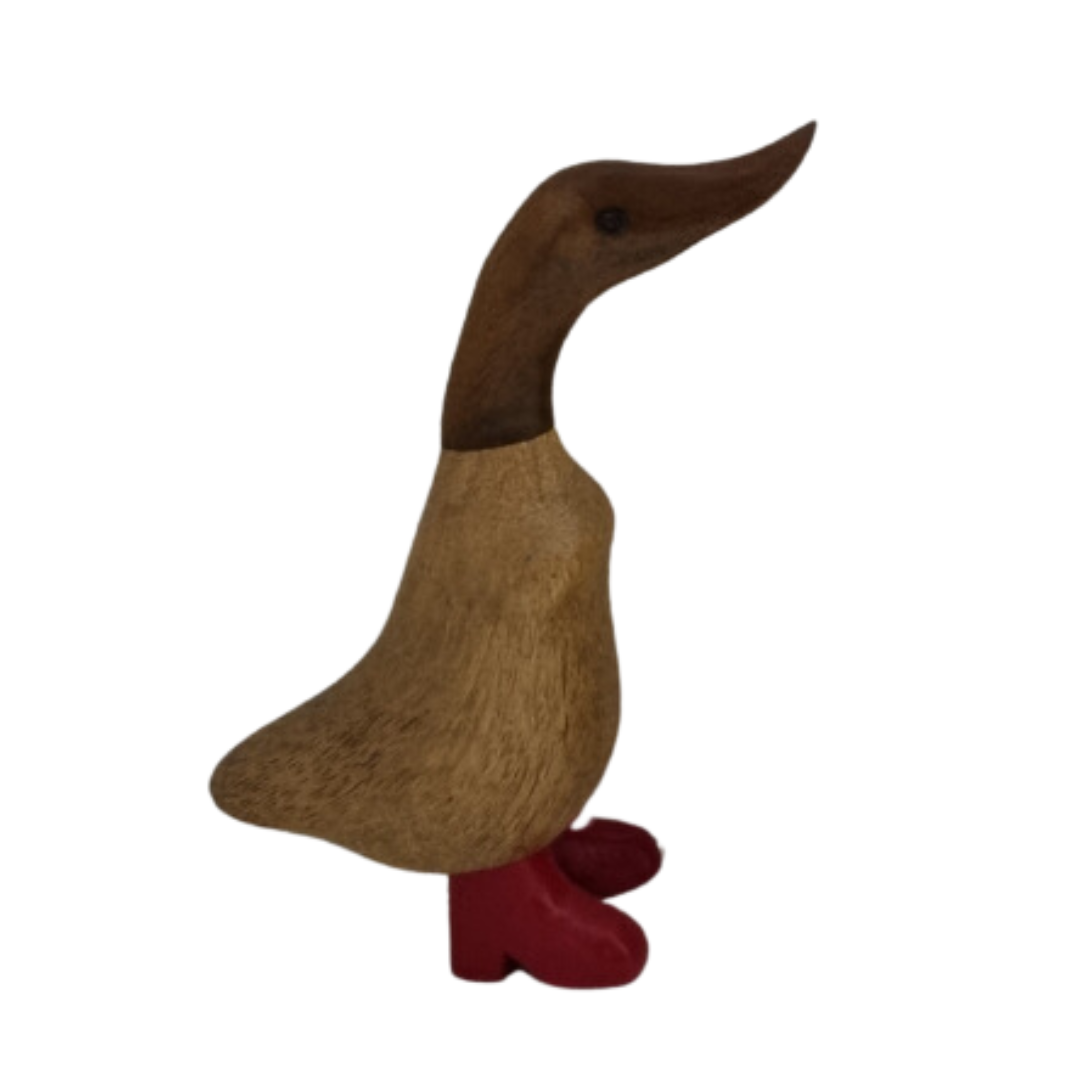 Charming Pastel Booted Bamboo Ducks