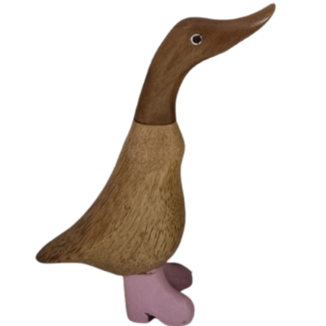 Charming Pastel Booted Bamboo Ducks