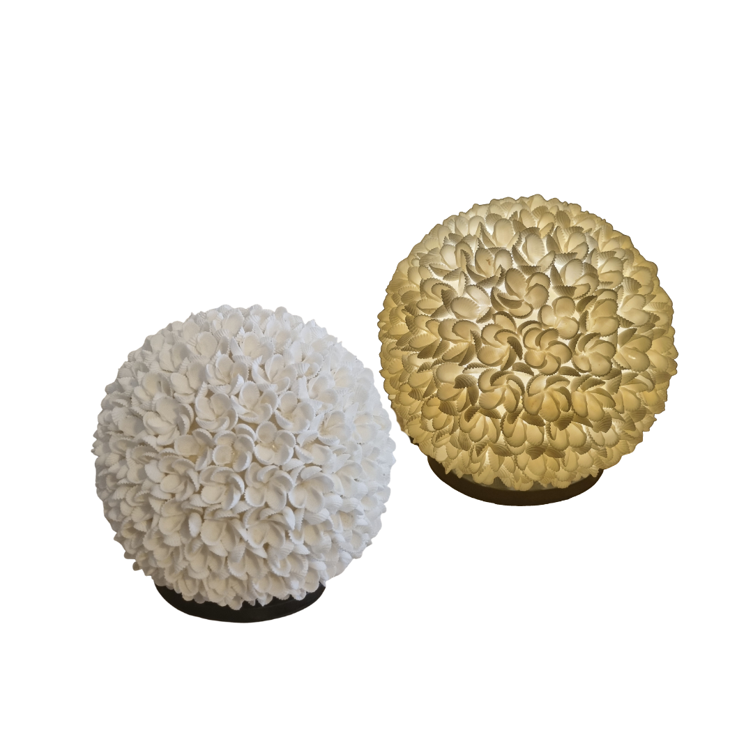 Two round shell lamps side by side on a white background — one unlit, one switched on glowing warm gold