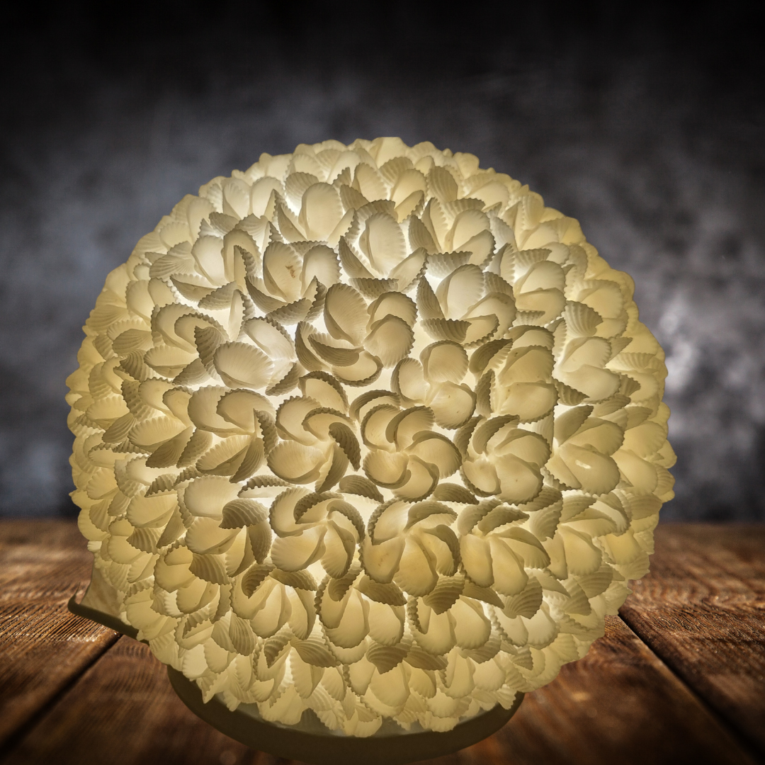 Round daisy shell lamp switched on, warm golden glow against a dark grey background, sitting on a rustic timber surface