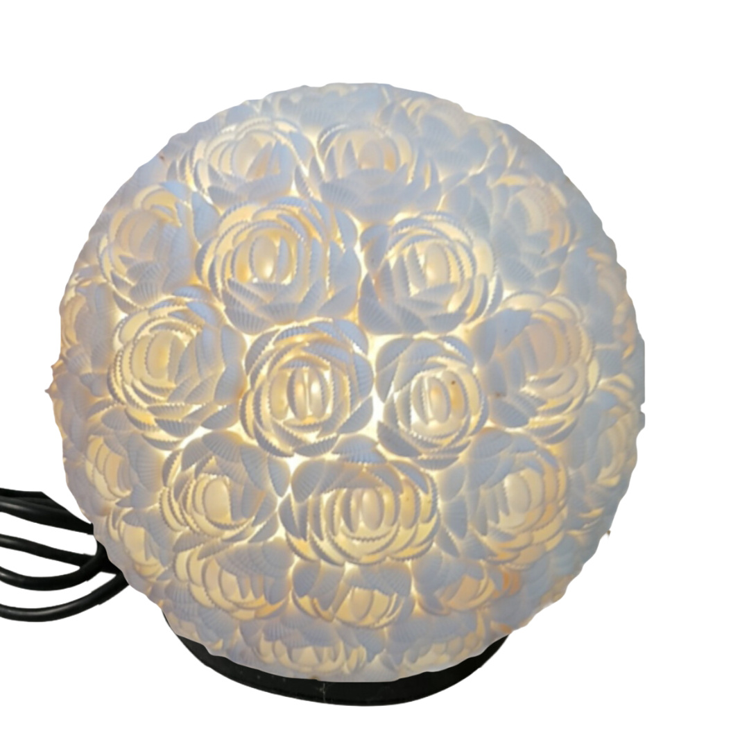 Soft white and warm gold glow illuminating the rose shell pattern, black base, white background